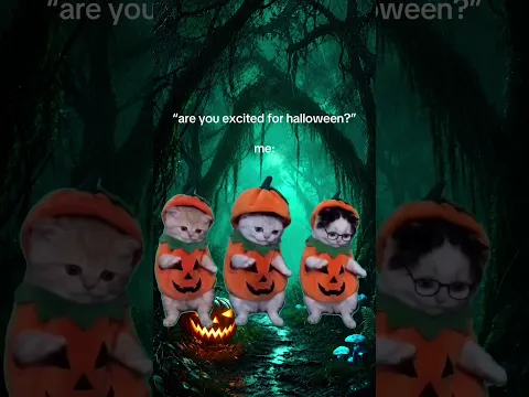 Dancing La Calabaza Halloween Cats #shorts #halloween #dance #dancingcats