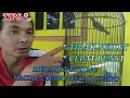 TIPS**PERAWATAN BURUNG KACIAL COMBO/CUCAK COMBO AGAR TIDAK NYILET/KURUS, CEPAT BUNYI