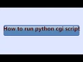 How to run Python CGI Script