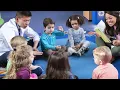 Circle Time Transition Song for Preschool, kindergarten
