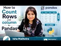 Count Rows Columns in Pandas Pandas Tutorial Shape in Pandas Data Analyst Learning