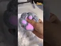 Download Lagu Cute cat paw tabasquishy#squishy #tabasquishy #decompression #squishytoy #diy  #asmrvideo  #catpaw