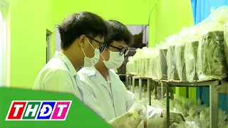 Làm chủ công nghệ, nâng cao hiệu quả sản xuất | Khoa học Công nghệ - 6/9/2026 | THDT
