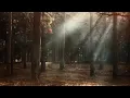soft symphony music