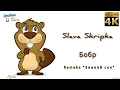 Download Lagu Бобр (Remake Зимний сон) - SLAVA SKRIPKA. 4К видео. Джайна. Девушка танцует в чатрулетке