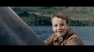 water horse swimming scene