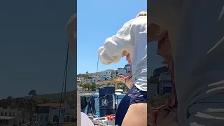 Do you thank your fish dinner? #ourladydefiant #fishing #yachtracing