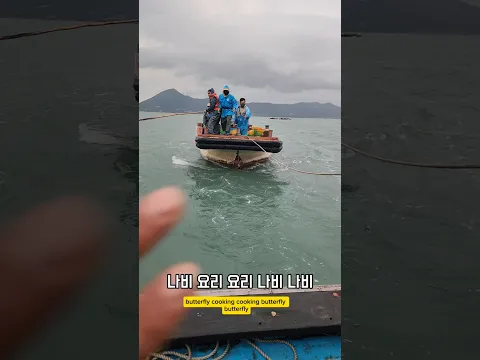 비바람치는 날 바다는? #남해 #바다 #태풍 #예인 #선박 #외국인 #어선 #물메기 '