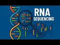 RNA Sequencing RNA-Seq Transcriptomics Animation for CSIR NET Life Science Exams