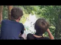 Deep Focus Study Sounds 🌿 8 Hours Platypus River & Rainforest Birdsong Ambient