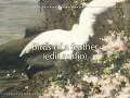 Download Lagu birds of a feather (Billie eilish) - edit audio