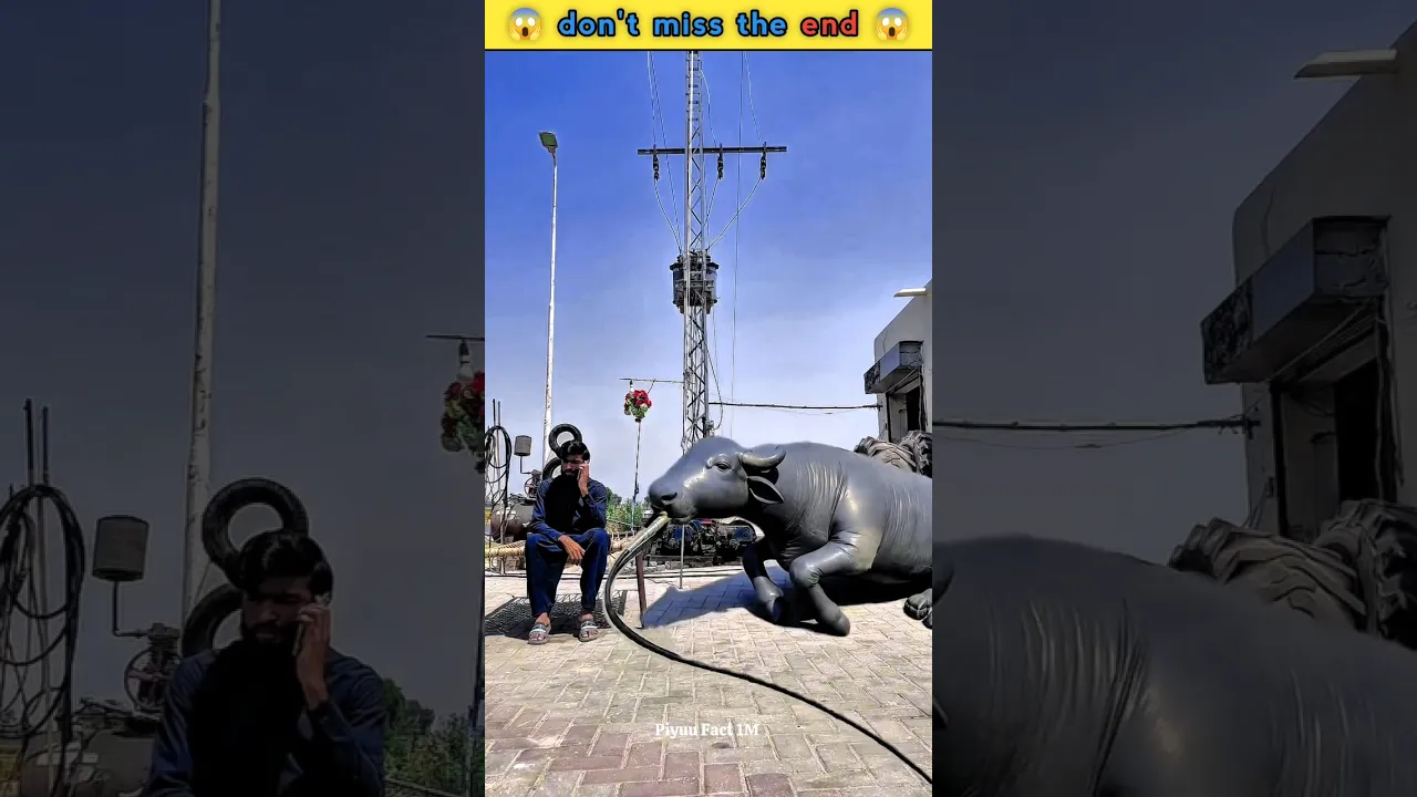 #original