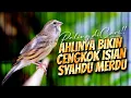 Lagu AHLINYA BIKIN CENGKOK JUARA PALING DICARI - MASTERAN KENARI ISIAN BLACKTHROAT GACOR DURASI PANJANG