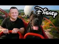We Took a TRAINED PROTECTION DOG to DISNEY WORLD and THIS Happened