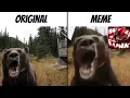 Laggy Bear Original vs Meme