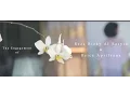 Download Lagu The Enggagement of Reica Aprilyana \u0026 Reza Rizky Al Rasyid