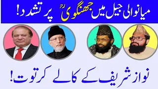 the role of nawaz sharif moulana zia ul rahman farooqi ustad news