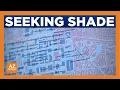 How to find the coolest walking route at ASU in Tempe