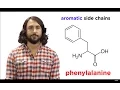Amino Acids