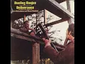 Dueling Banjos - Eric Weissberg & Steve Mandell
