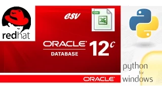How to export CSV data from Oracle database using Python