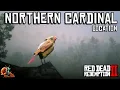 Northern Cardinal Location - Red Dead Redemption 2
