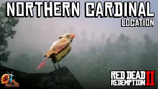 Northern Cardinal Location - Red Dead Redemption 2
