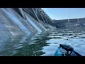 Fishing for Aggressive Tennessee Dam Fish They were Hungry Multi species Action