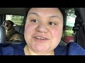 Day in the Life Of A Kennel Worker animal hospital