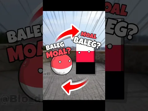 TIDAK DISANGKA 🗿 #countryballs #memes #animation