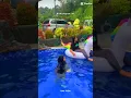 Download Lagu Ngamen 3 - Safira Inema (ku sambut pagi hari) Download Lagu Ngamen 3 - Safira Inema (ku sambut pagi hari)