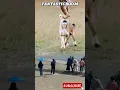 Download Lagu AMAZING! EAGLE CATCHES LITTLE LION #wildlife #eagles #lion