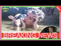 Danielle Colby Shocks Fans with Daring Bare Booty Photo - American Pickers Star Goes Viral