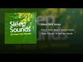 Brook Bird Songs