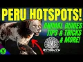 PERU HOTSPOT GUIDE Tricks Tips Info More - Call of the Wild