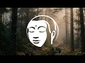 Bansuri & Flute Music | 6 Hours of Deep Calm & Inner Peace | Buddha's Lounge