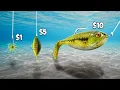 I Tested Every Fishing Lure at Walmart