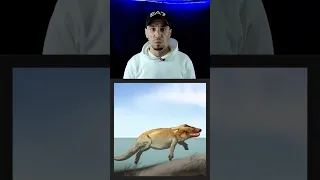 الحوت كان بيعيش علي الارض زيك بظبط 