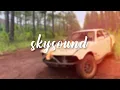 SKYSOUND ﾒ LETO - PINEAPPLE - MELO