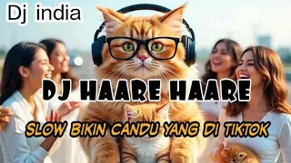 dj india haare haare slow bikin candu yang di tiktok by yanz tube 