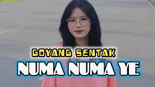 Download LAGU JOGET NUMA NUMA YE REMIX TERBARU 2024|| RYAN TEXAS RMX MP3