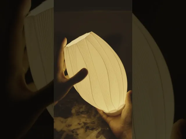 Lamp Palm video thumbnail