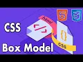HTML CSS for Beginners The CSS Box Model - Margin Borders Padding Explained The Easy Way