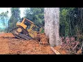 Download Lagu INSTANT ROAD! Watch This Massive Bulldozer Conquer Rainforest Jungle – So FAST!