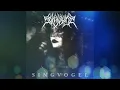 Download Lagu Sukkubys - Singvogel (2025) EP [Full Album]