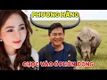 Lagu Phương Hằng.  Chọc vào ổ phởn động Hoàng Duy Hèn