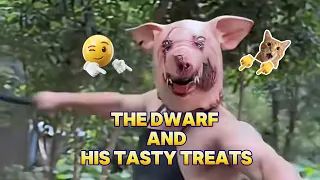 The Dwarf and His DeliciousFood!