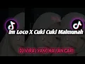 Download Lagu DJ IM LOCO X CUKI CUKI MAIMUNAH REMIX CAMPURAN VIRAL TIK TOK TERBARU 2022