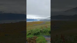 North Shore, Mitkof Island, Alaska Cruising Lealea #shorts