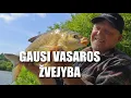 Download Lagu Method feederis, paprasta ir veiksminga su Pauliumi Korsaku | Vienam gale kablys | 4K